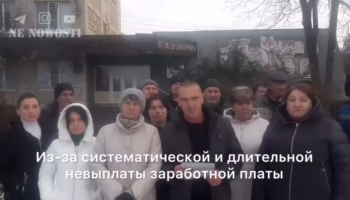 птицефабрики Новороссийска и скандал с Бастрыкиным 2