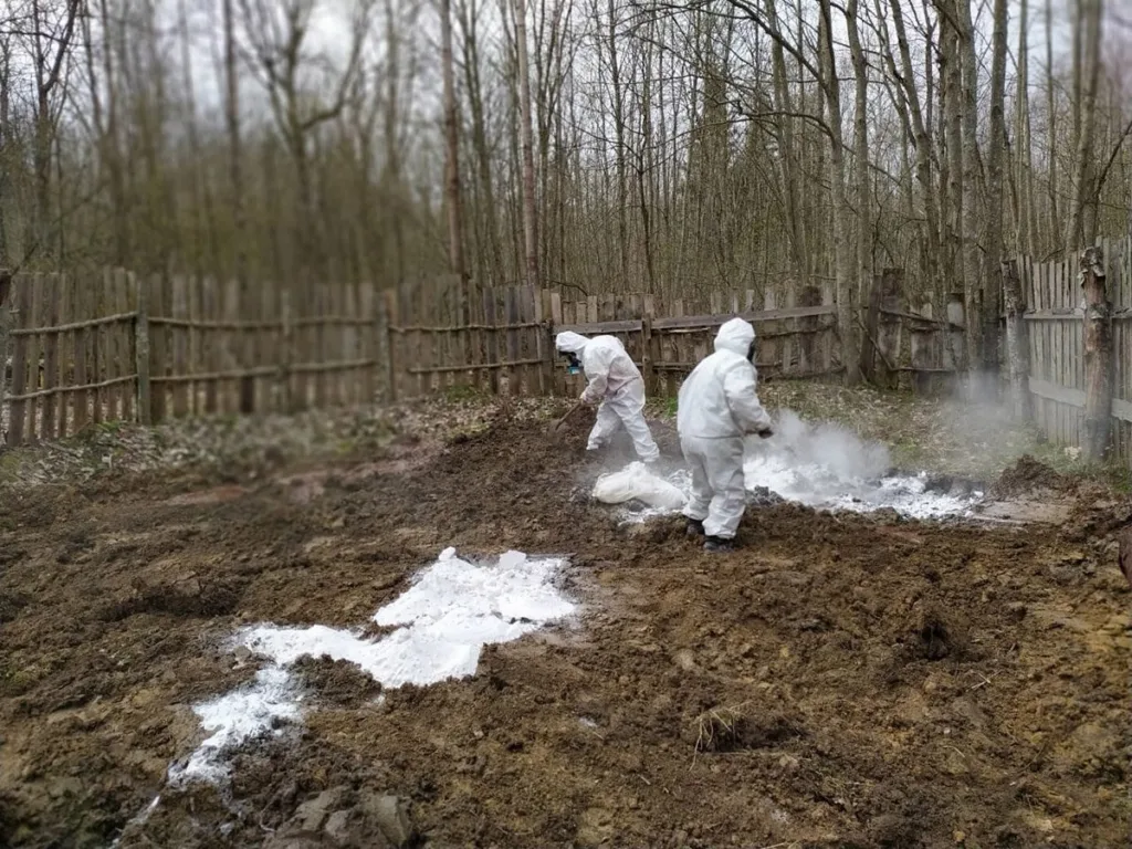 Скотомогильник