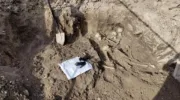 поисковики