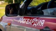 Поножовщина в Новороссийске